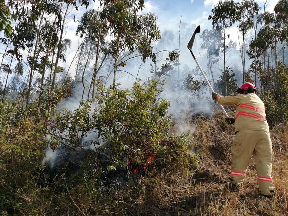 1.322 hectáreas de vegetación fueron afectadas durante el 2019.